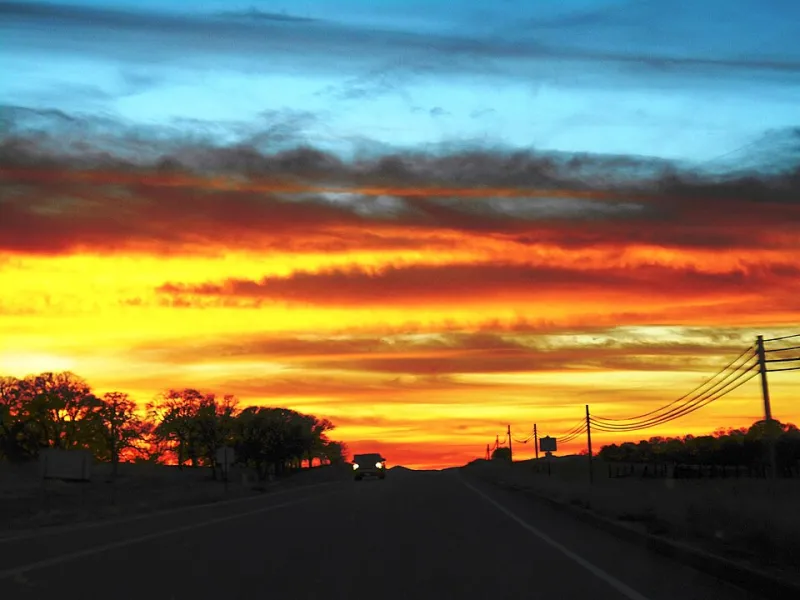 Miles for the Mic: Inside the Growing World of Dansky's Road-Trip Superfans